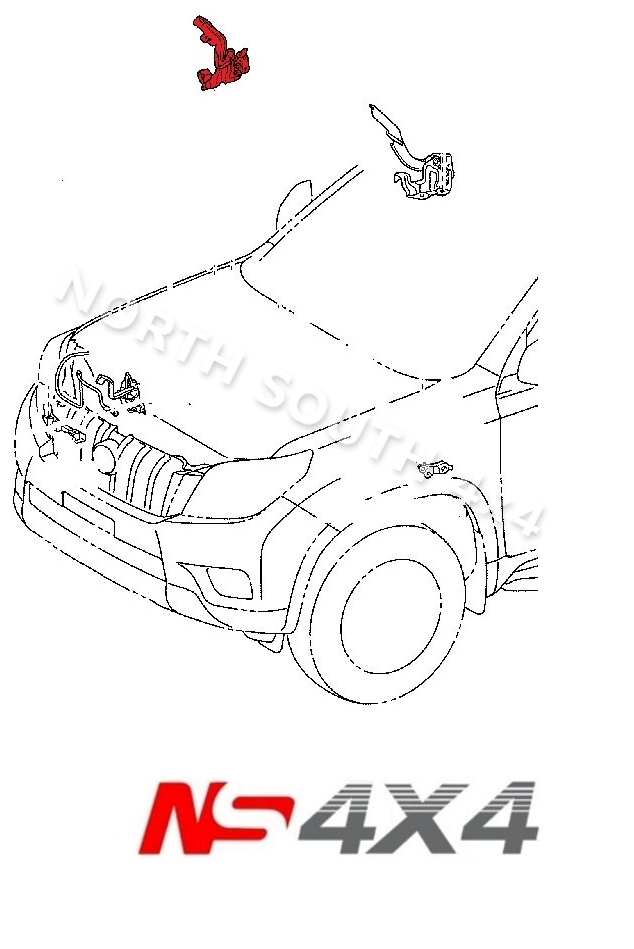 Ns4x4